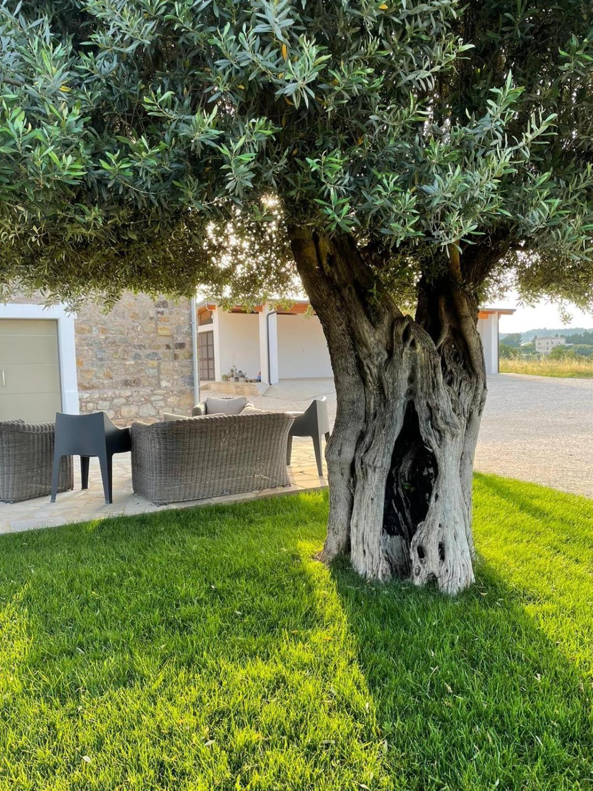 Alta Area Aparthotel Nova Siri Exterior photo